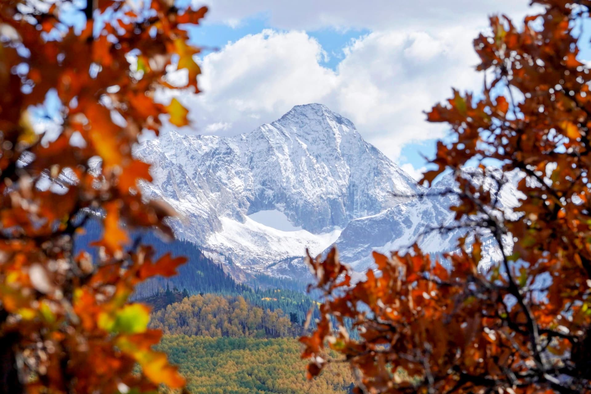 Oak Framing Capitol Peak, CO