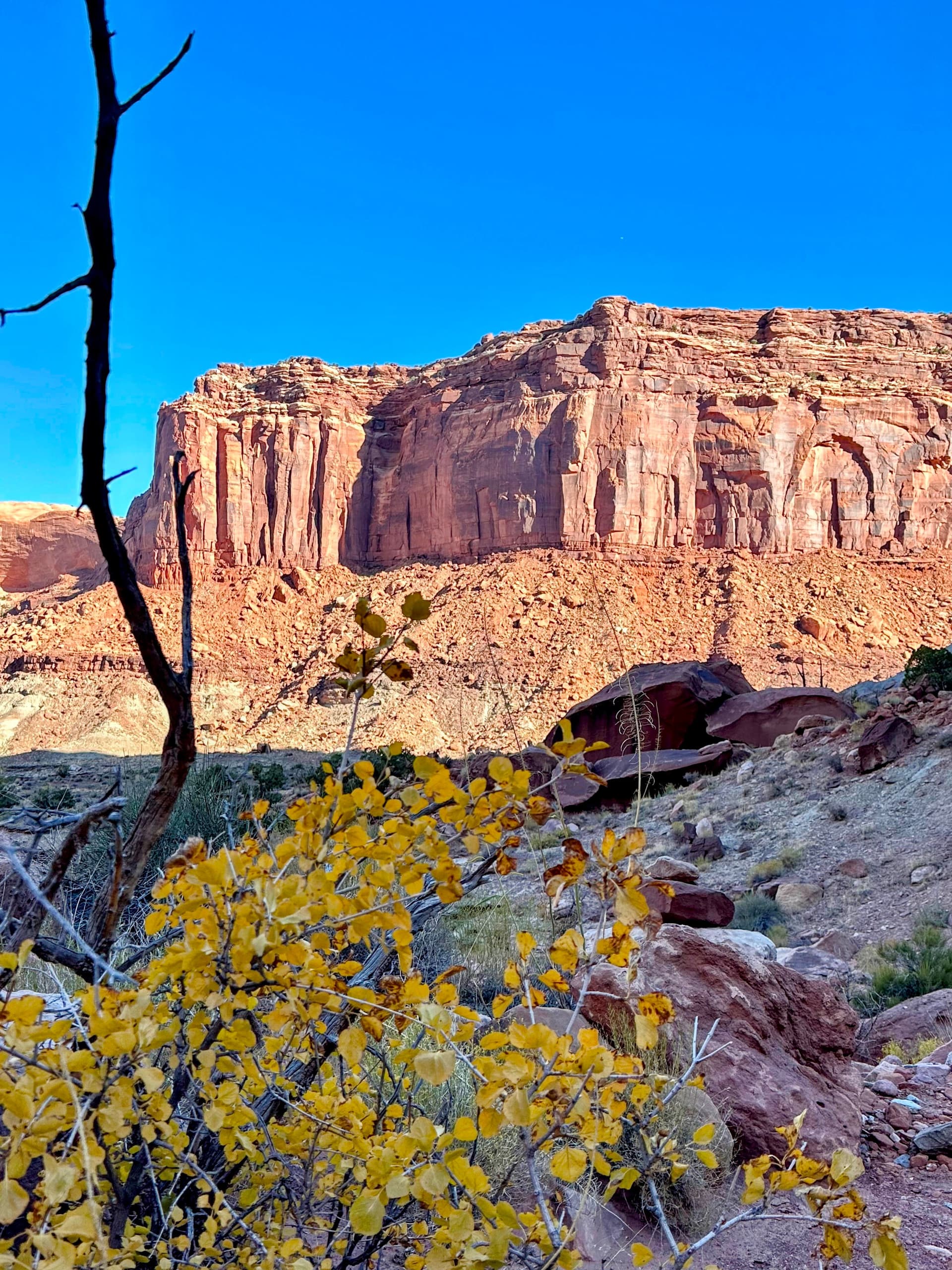 Utah in the Fall