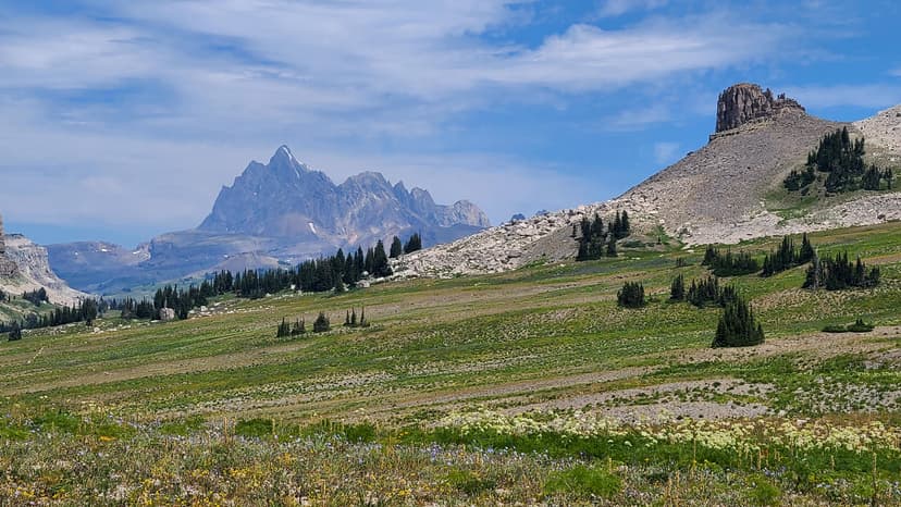 Marion Lake and Wildflower Heaven