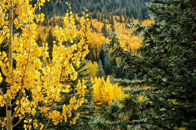 Versatile Footwear for Fall Conditions: Your Complete Guide