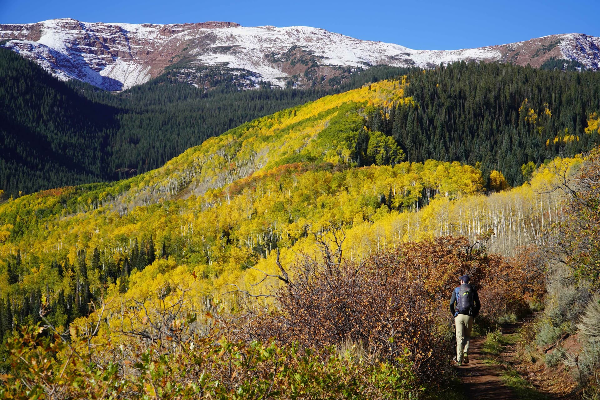 Me Hiking on the Capitol Creek Trail, CO